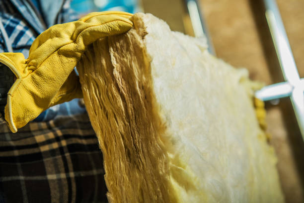 Types of Insulation We Offer in Festus, MO